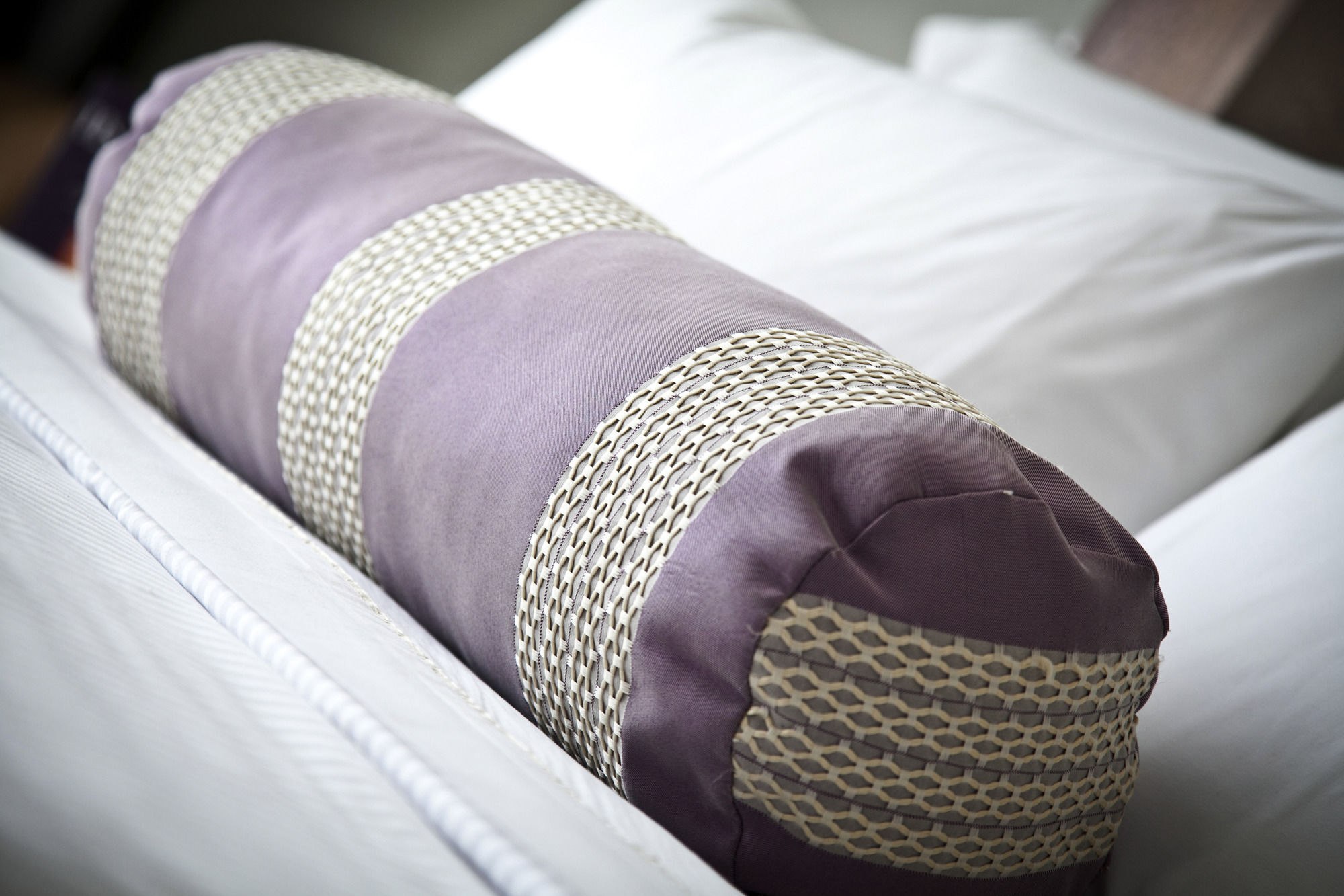 Hs Hotsson Hotel Silao Dış mekan fotoğraf